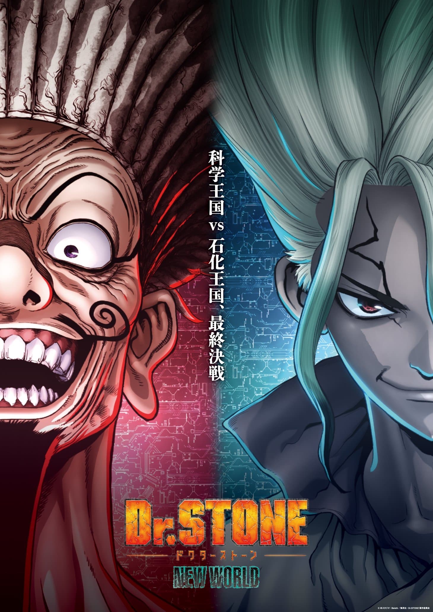 Banner Phim Tiến Sĩ Đá: Hồi Sinh Thế Giới (Phần 1) (Dr. STONE (Season 1))