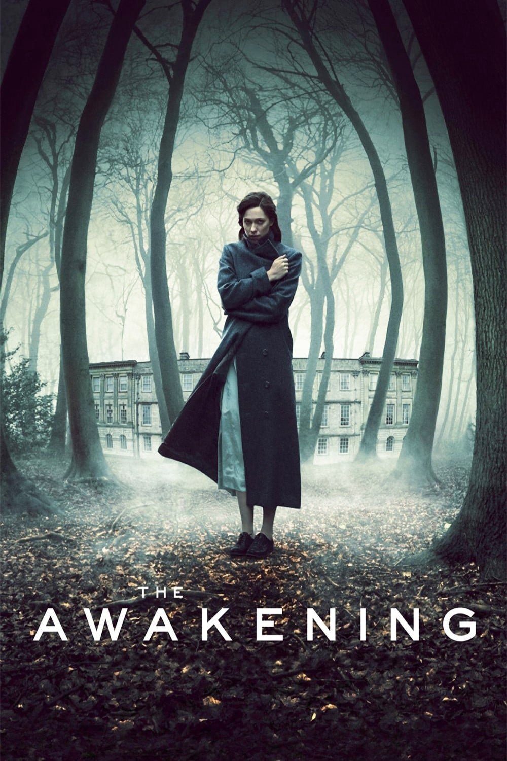 Banner Phim Tỉnh Giấc (The Awakening)