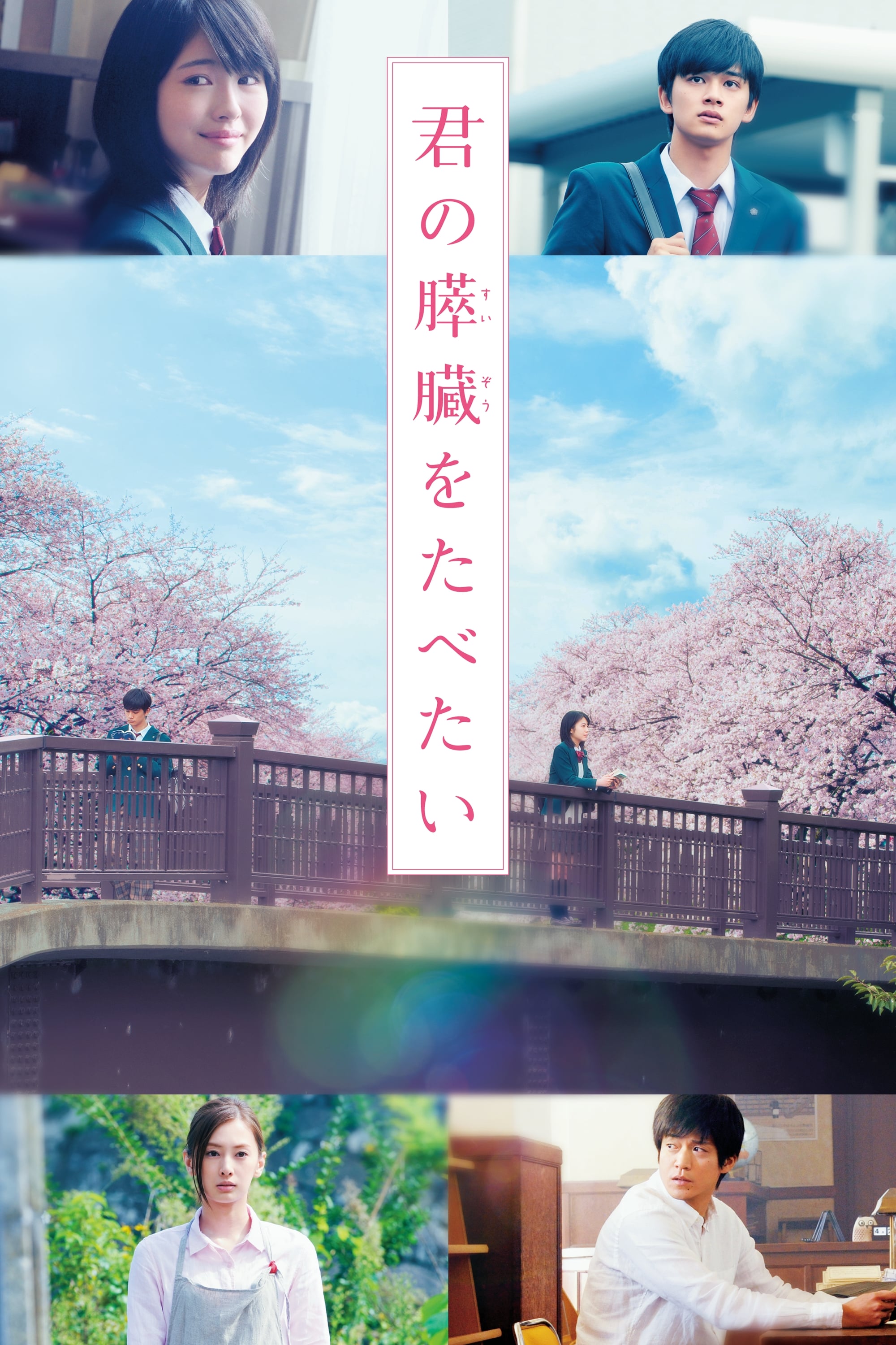 Banner Phim Tớ Muốn Ăn Tụy Của Cậu (Let Me Eat Your Pancreas)