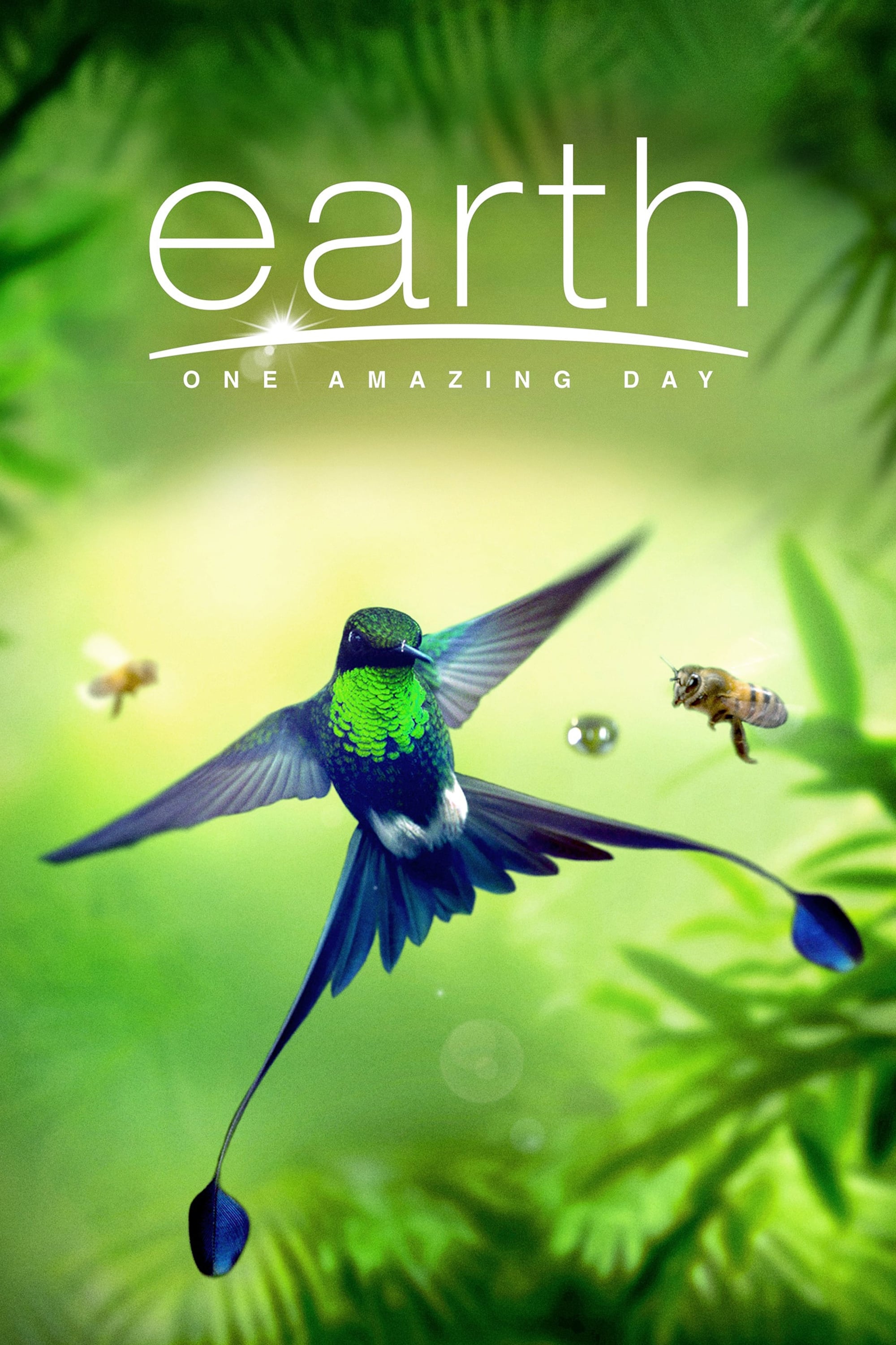 Banner Phim Trái Đất: Một Ngày Tuyệt Vời (Earth: One Amazing Day)