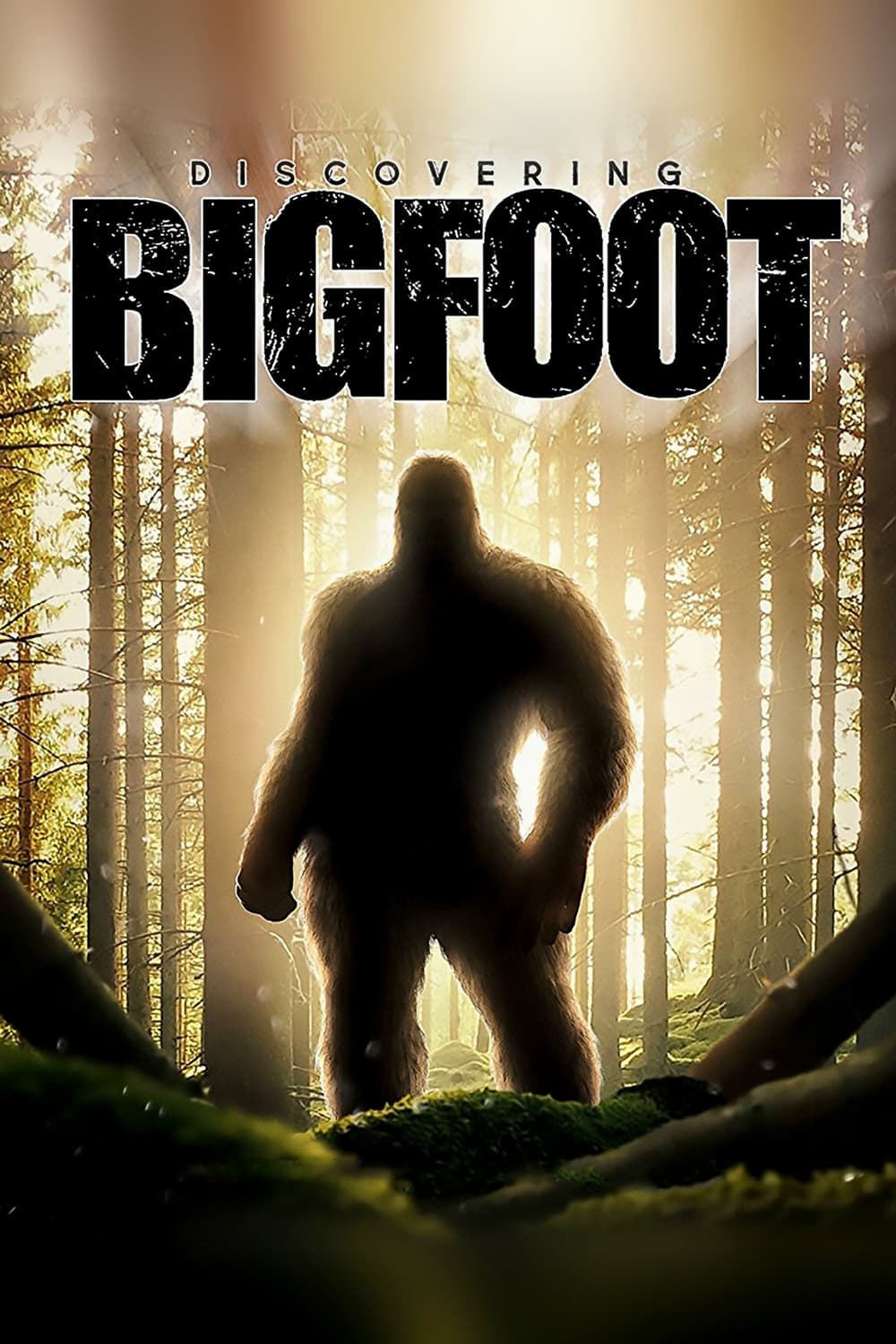 Banner Phim Truy Tìm Bigfoot (Discovering Bigfoot)