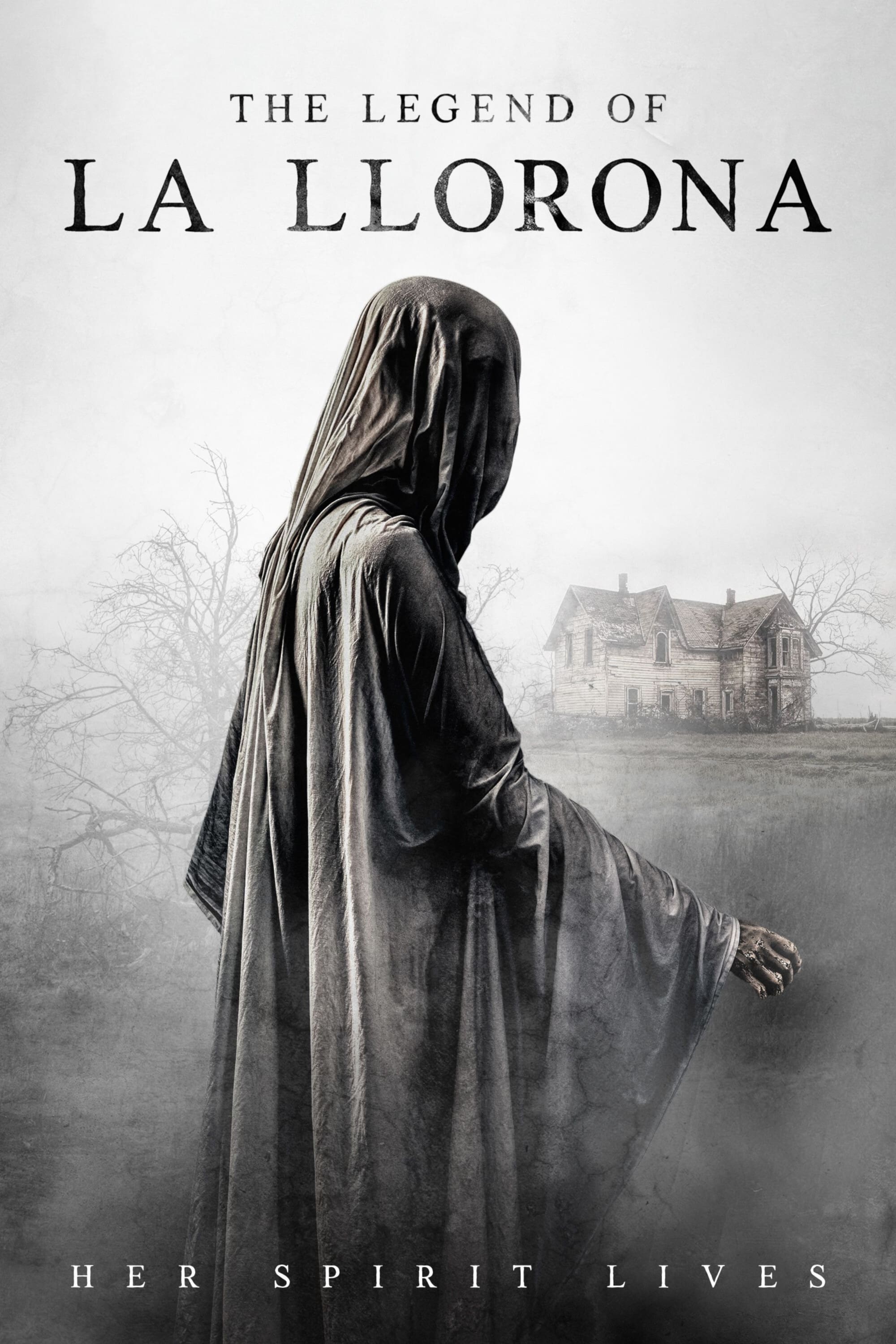 Banner Phim Truyền Thuyết Về La Llorona (La Llorona)