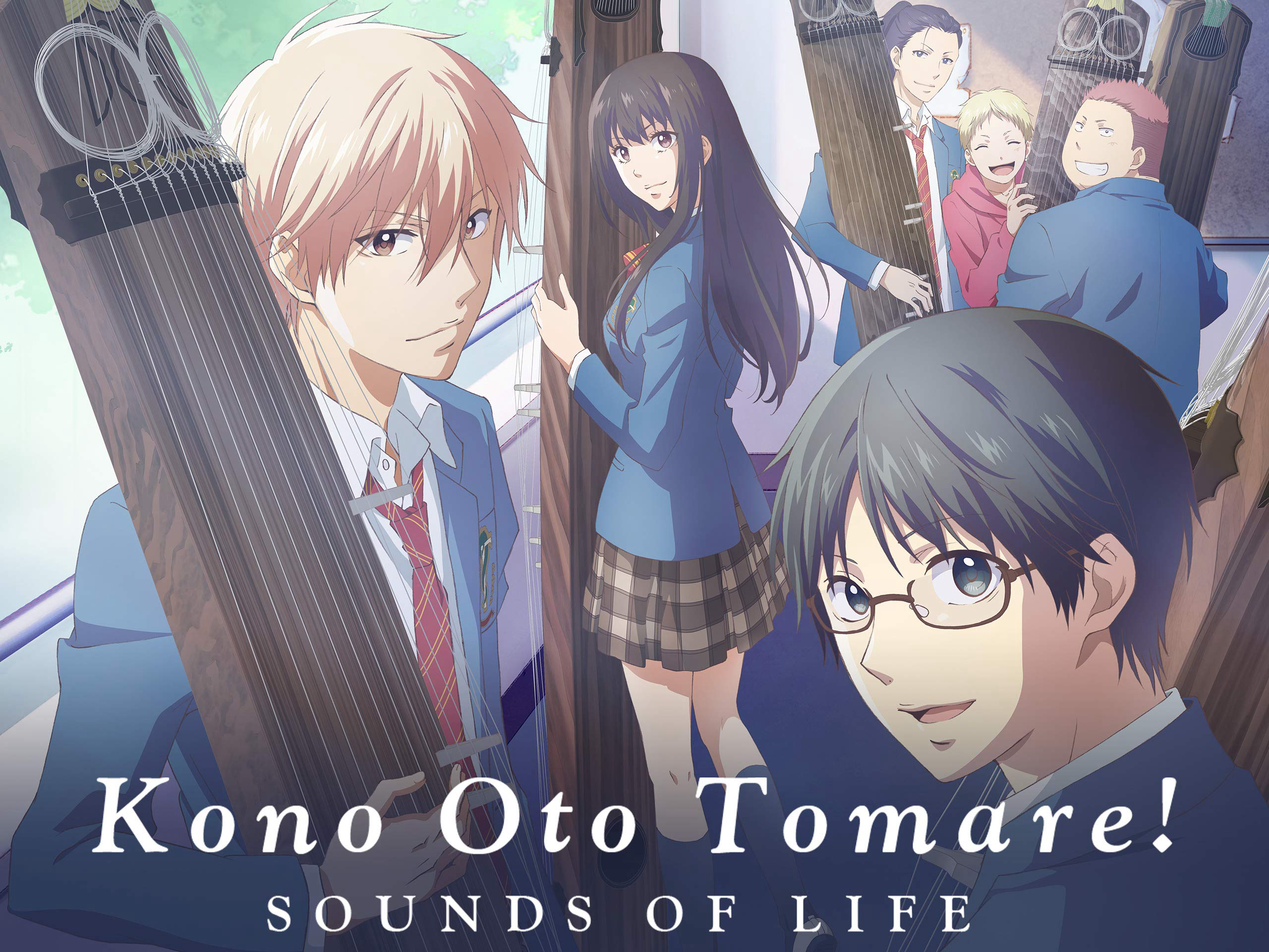 Banner Phim Tuổi thanh xuân bên cây đàn Koto (Phần 2) (Kono Oto Tomare! Sounds of Life (Season 2))