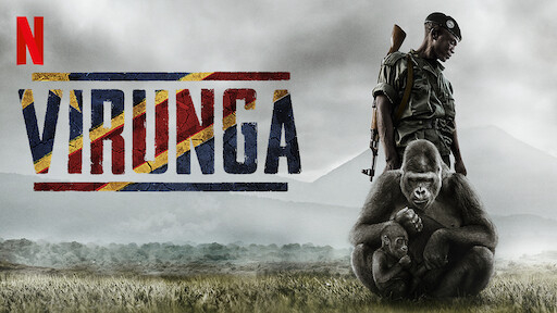 Banner Phim Virunga (Virunga)