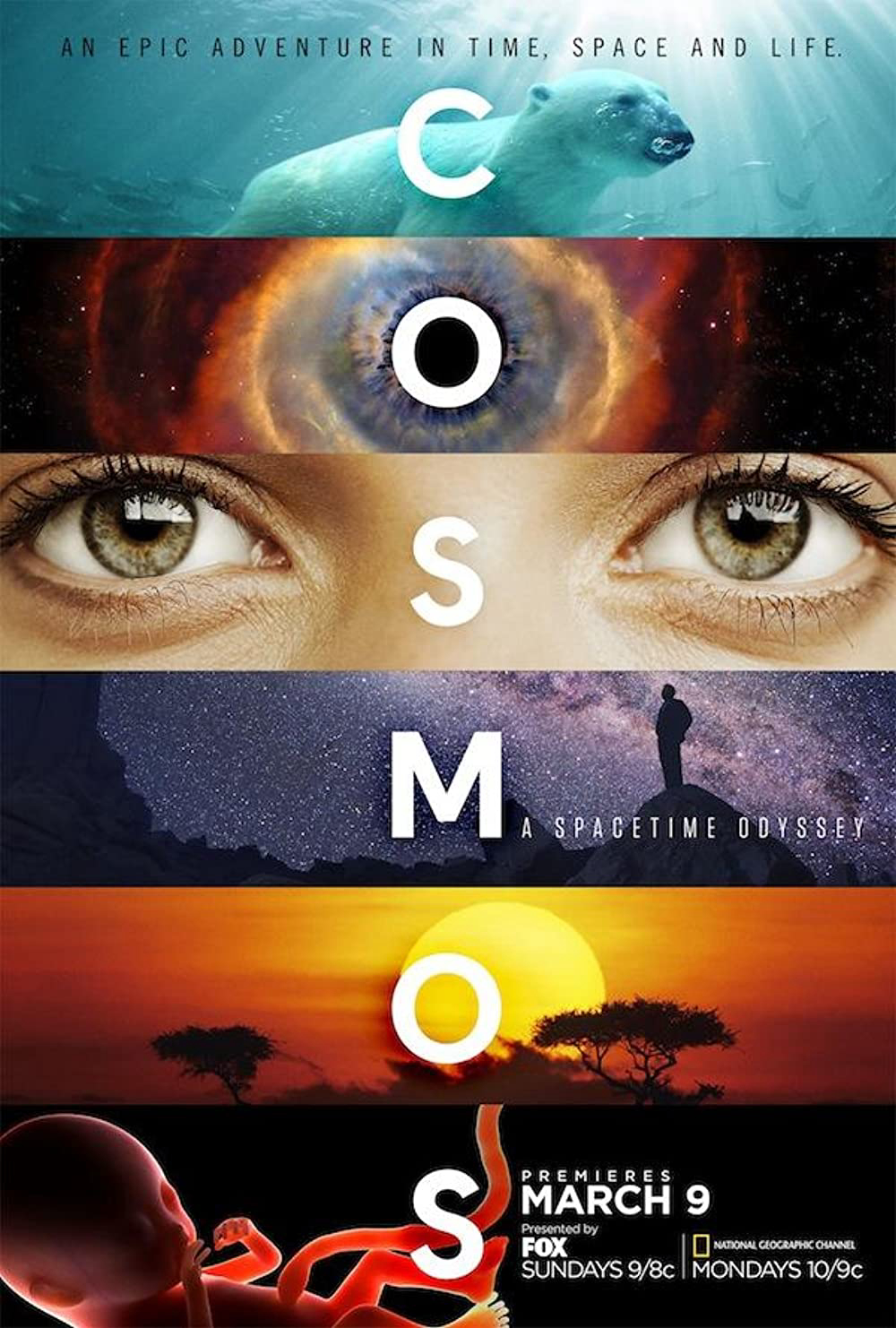 Banner Phim Vũ Trụ Kỳ Diệu Phần 1 (Cosmos: A Spacetime Odyssey Season 1)