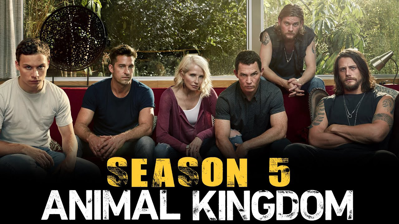 Banner Phim Vương quốc động vật (Phần 5) (Animal Kingdom (Season 5))