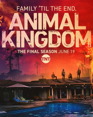 Banner Phim Vương Quốc Tội Phạm Phần 6 (Animal Kingdom Season 6)