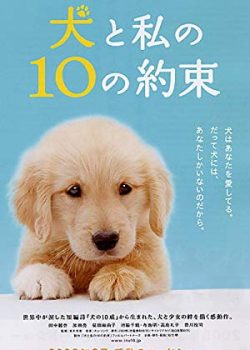 Poster Phim 10 Lời Hứa Dành Cho Chú Chó Của Tôi (10 Promises to My Dog)