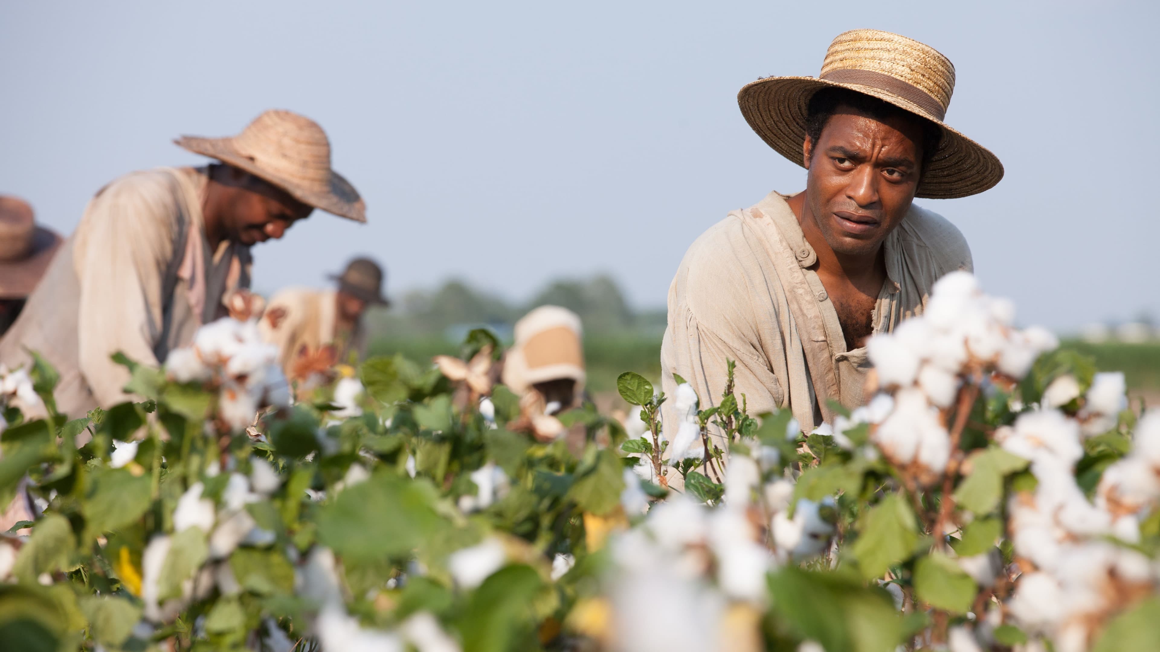 Xem Phim 12 Năm Nô Lệ (12 Years A Slave)