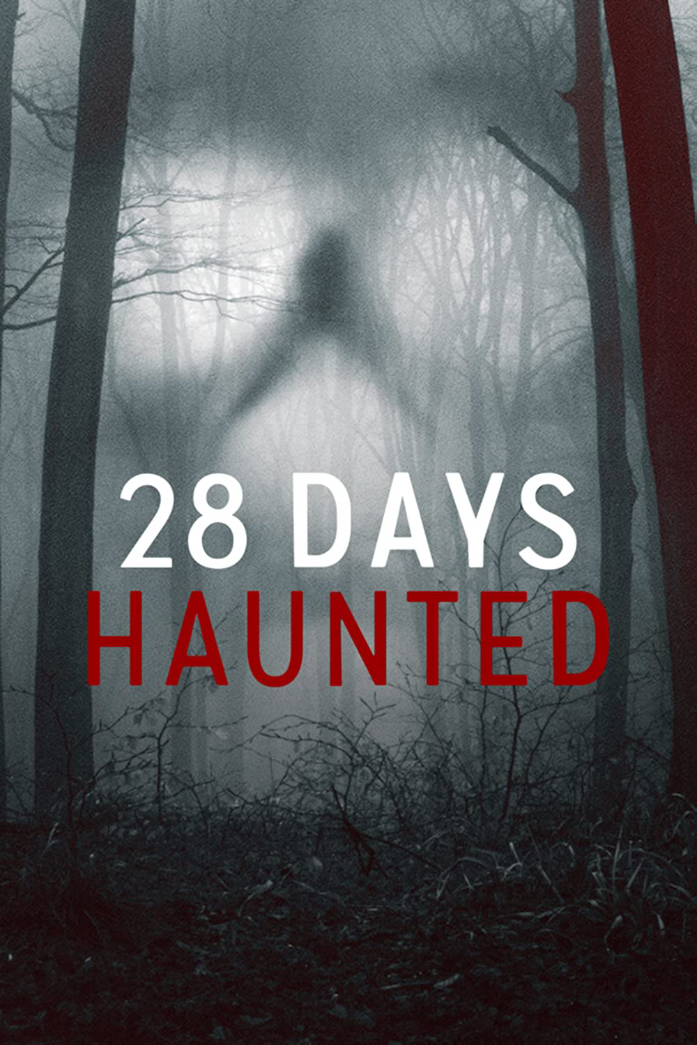 Poster Phim 28 ngày ma ám (28 Days Haunted)