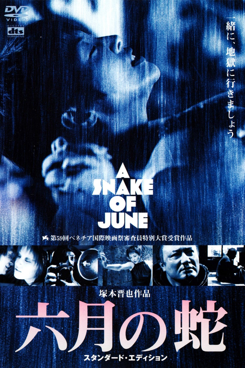 Poster Phim A Snake of June (A Snake of June)