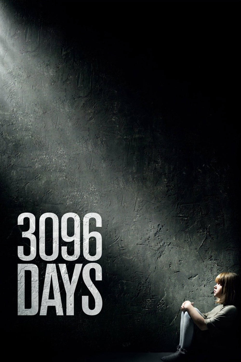 Poster Phim Ác Mộng 3096 (3096 Tage)
