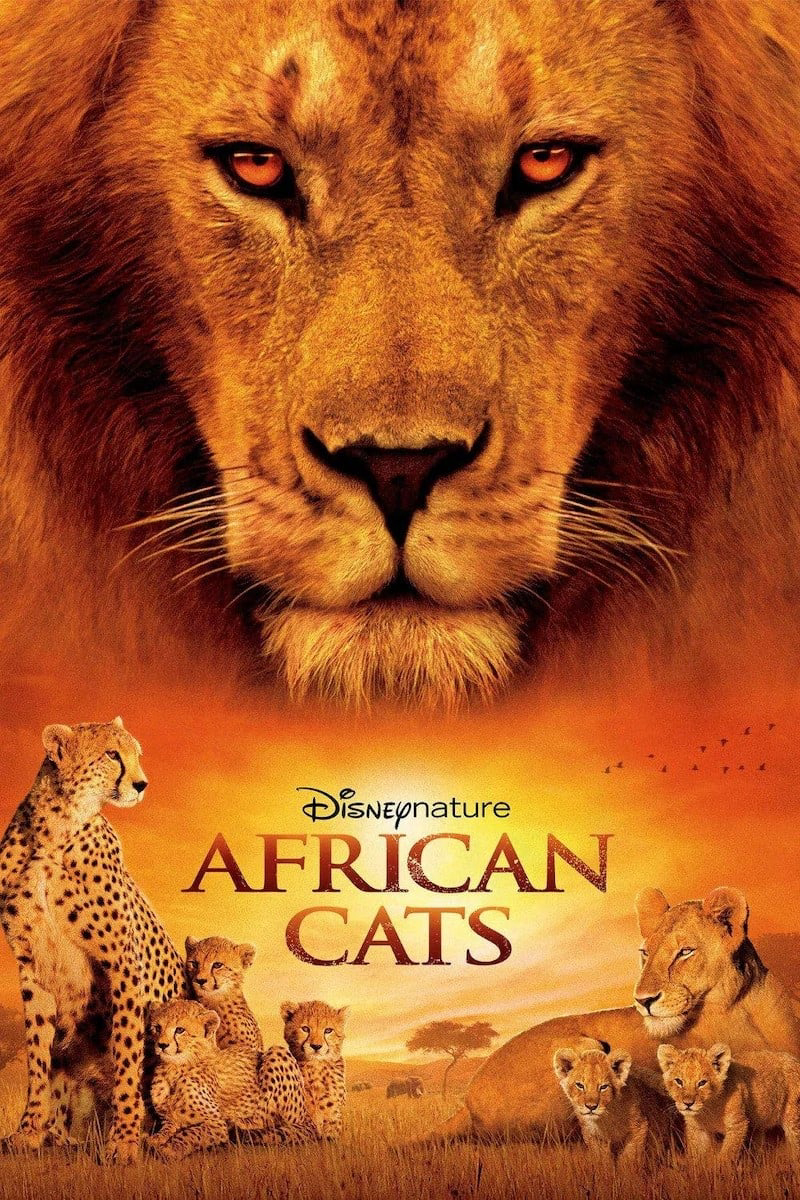 Poster Phim African Cats (African Cats)