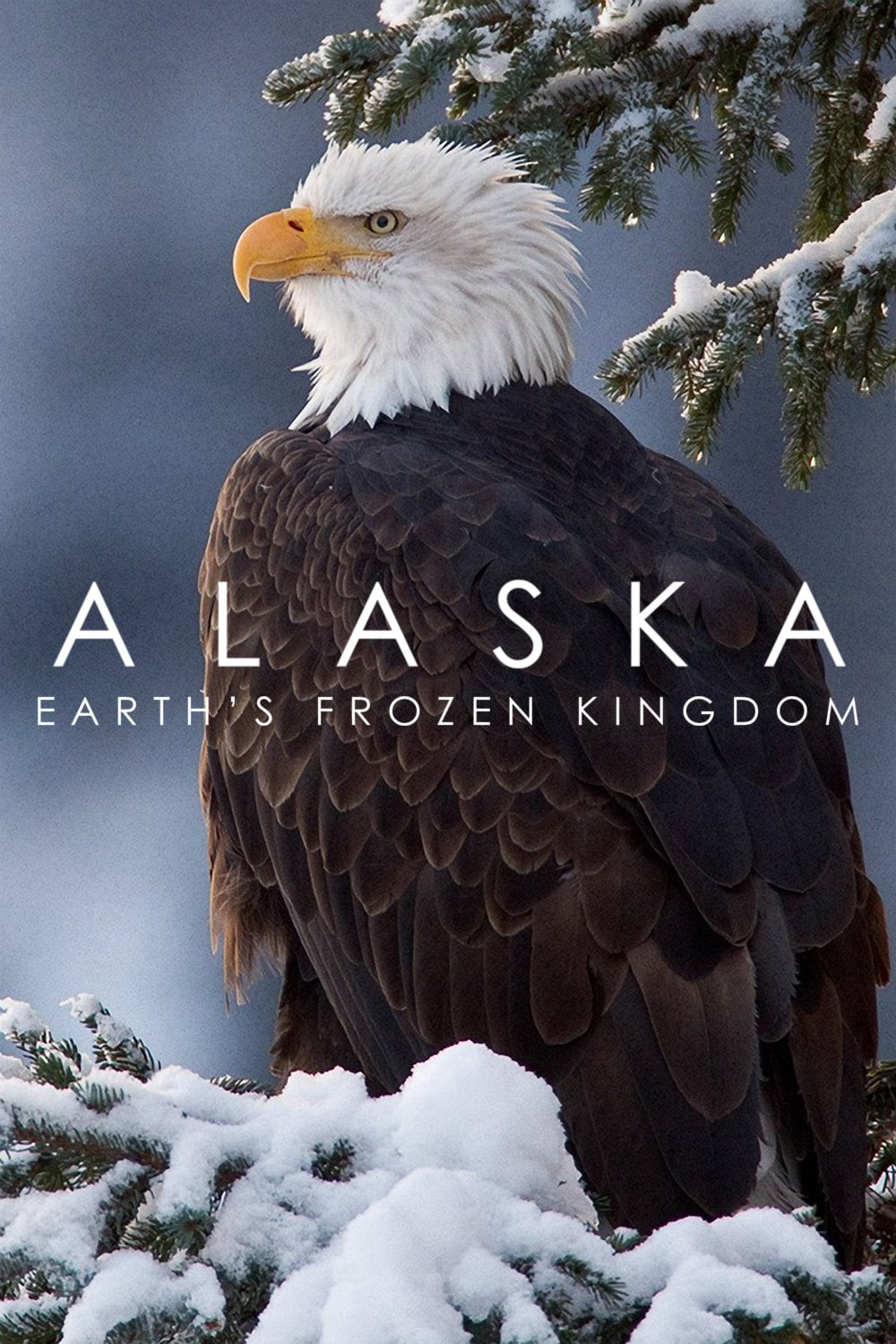 Poster Phim Alaska: Vương Quốc Băng Giá (Alaska: Earth's Frozen Kingdom)
