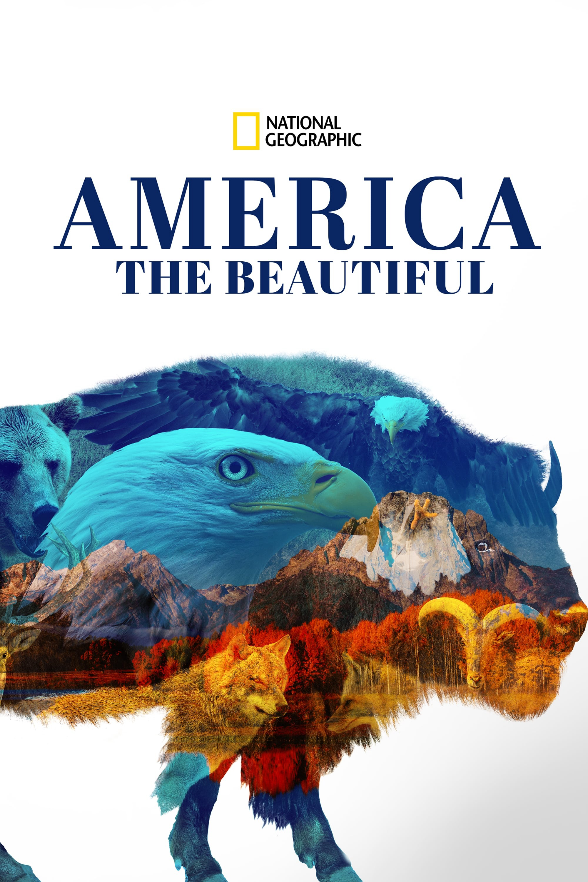 Poster Phim America the Beautiful (America the Beautiful)