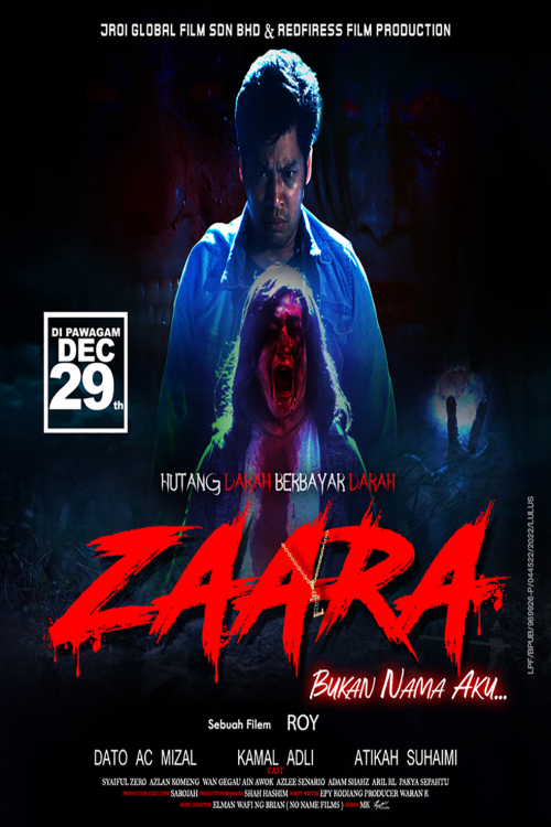 Poster Phim Anh chàng sợ ma (Zaara)