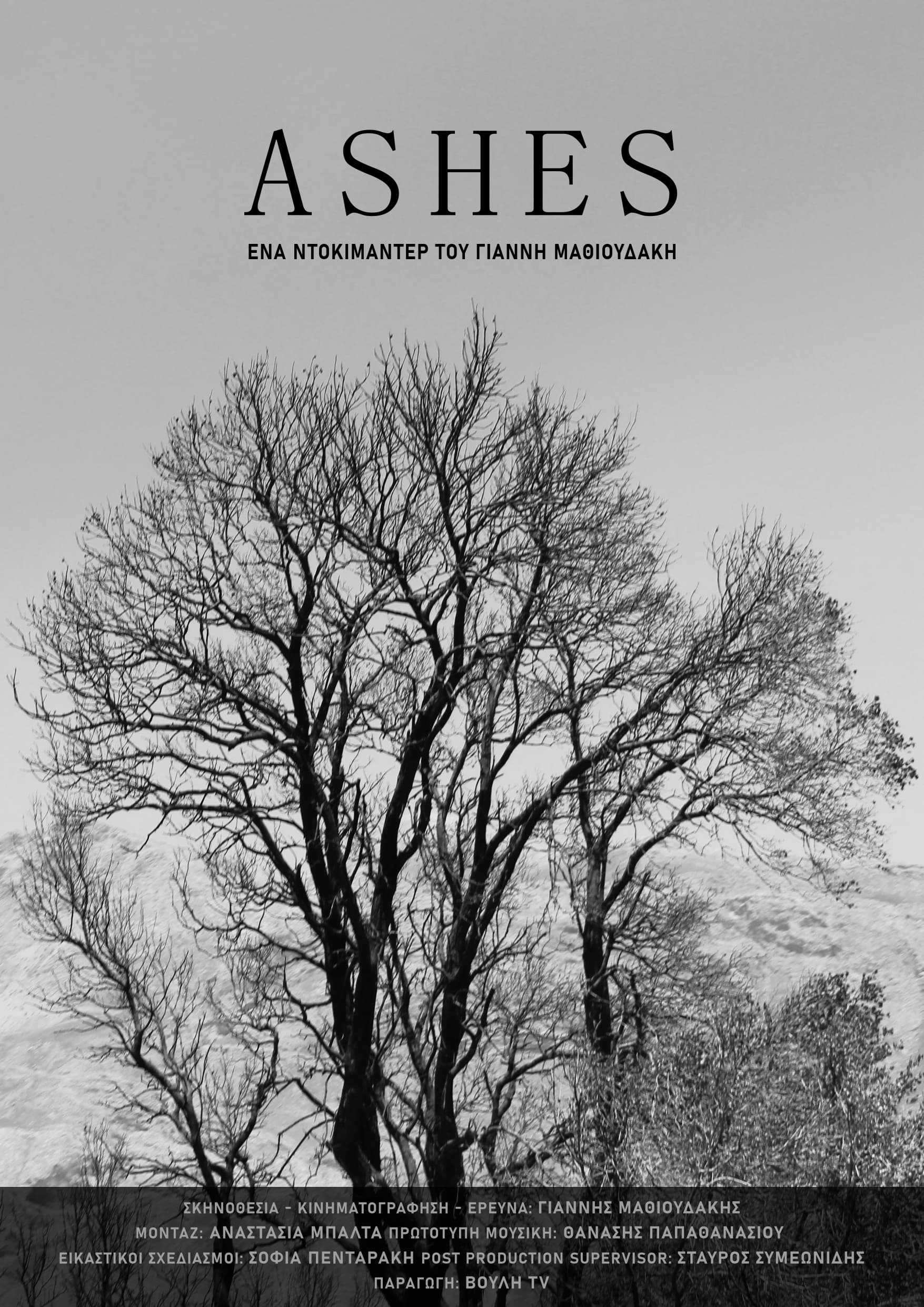 Poster Phim Ashes (Ashes)