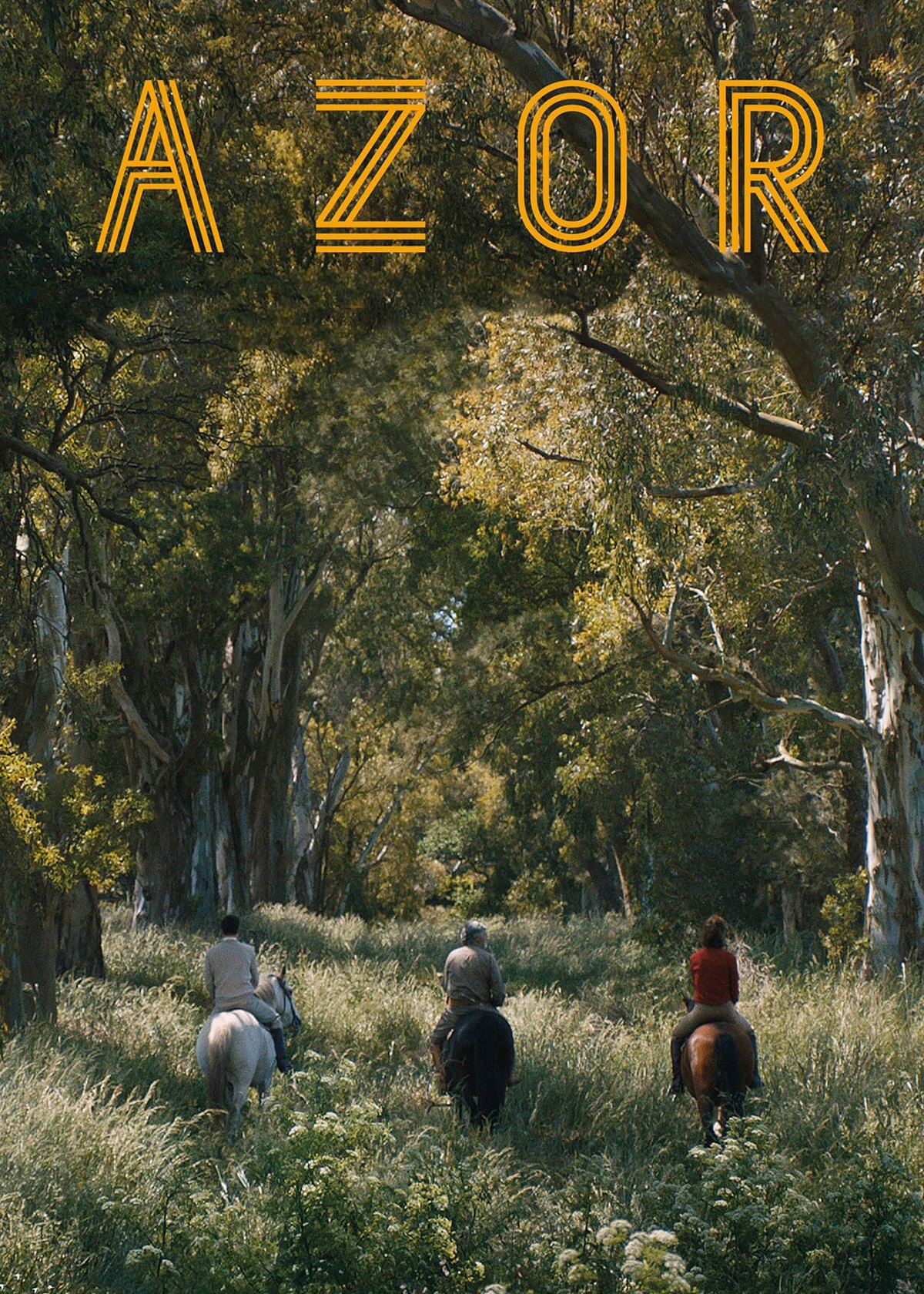 Poster Phim Azor (Azor)
