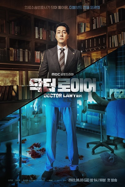 Poster Phim Bác Sĩ Luật Sư (Doctor Lawyer)