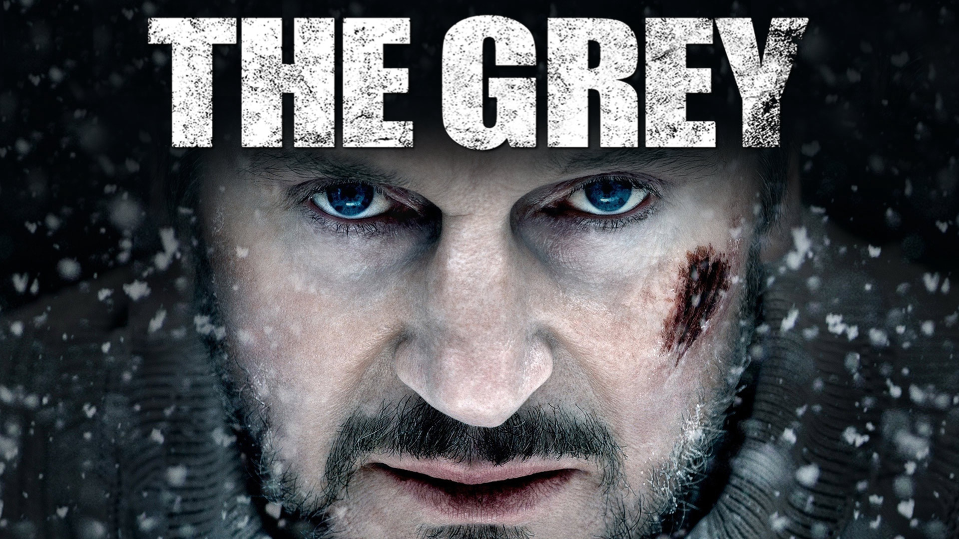 Poster Phim Bản Năng Sinh Tồn (The Grey)