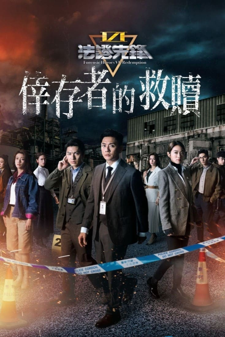 Poster Phim Bằng Chứng Thép 6 (Forensic Heroes 6)