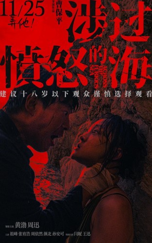Poster Phim Băng Qua Biển Giận Dữ (Across the Furious Sea)