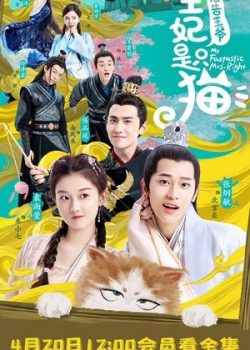 Poster Phim Báo Cáo Vương Gia, Vương Phi Là Một Con Mèo (My Fantastic Mrs Right)