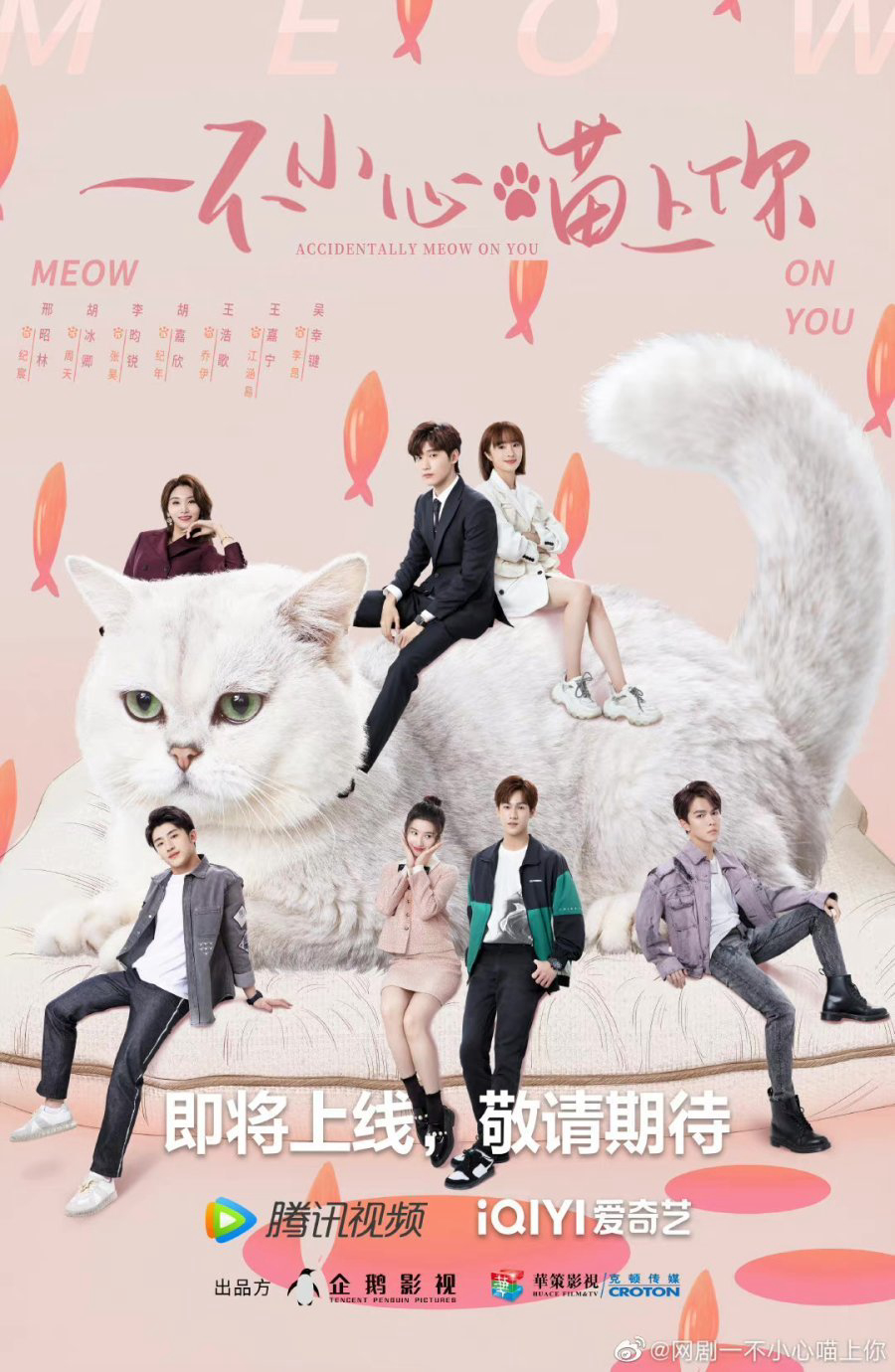 Poster Phim Bất Cẩn Meow Phải Anh (Accidentally Meow On You)