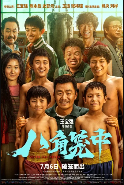 Poster Phim Bát Giác Long Trung (Never Say Never)