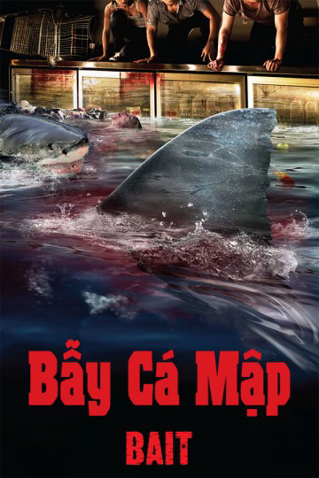 Poster Phim Bẫy Cá Mập (Bait)