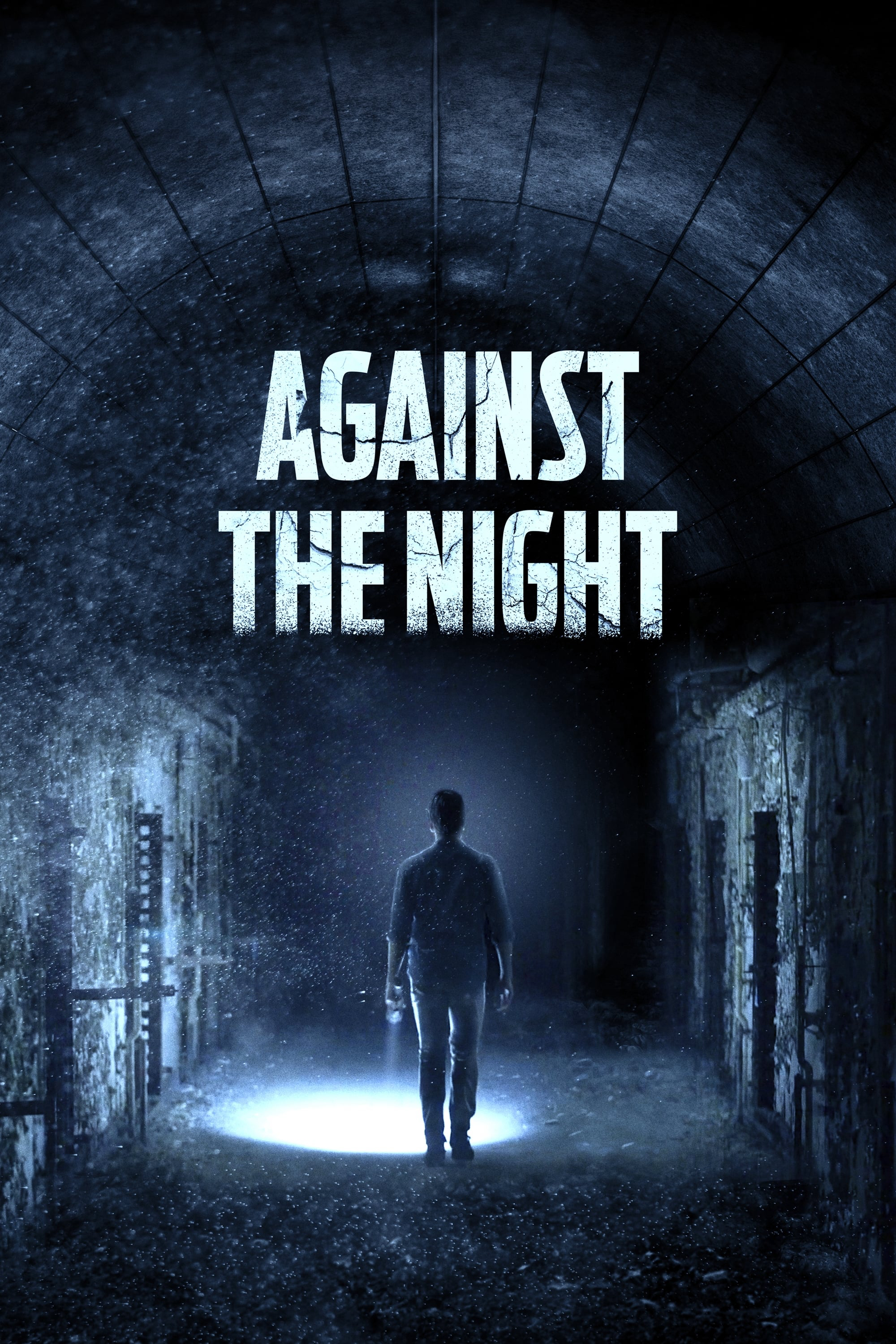 Poster Phim Bí Ẩn Đêm Đen (Against The Night)