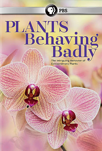 Poster Phim Bí Ẩn Về Thực Vật Ăn Động Vật (Plants Behaving Badly)