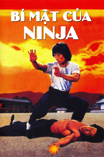 Poster Phim Bí Mật Của Ninja (Ninja Knight 2: Roaring Tiger)