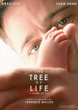 Poster Phim Bố Mẹ Là Tất Cả / Cây Đời (The Tree of Life)