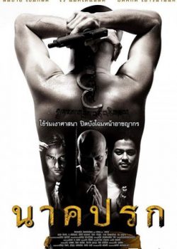 Poster Phim Bóng Thần Naga (In The Shadow Of Naga)