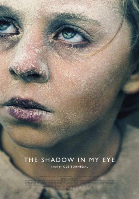 Poster Phim Bóng Tối Trong Mắt Tôi (The Shadow In My Eye The Bombardment)