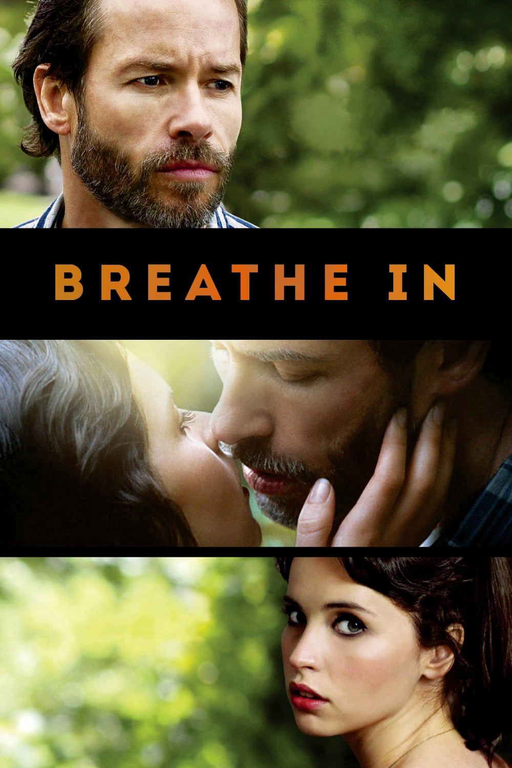 Poster Phim Breathe In (Breathe In)