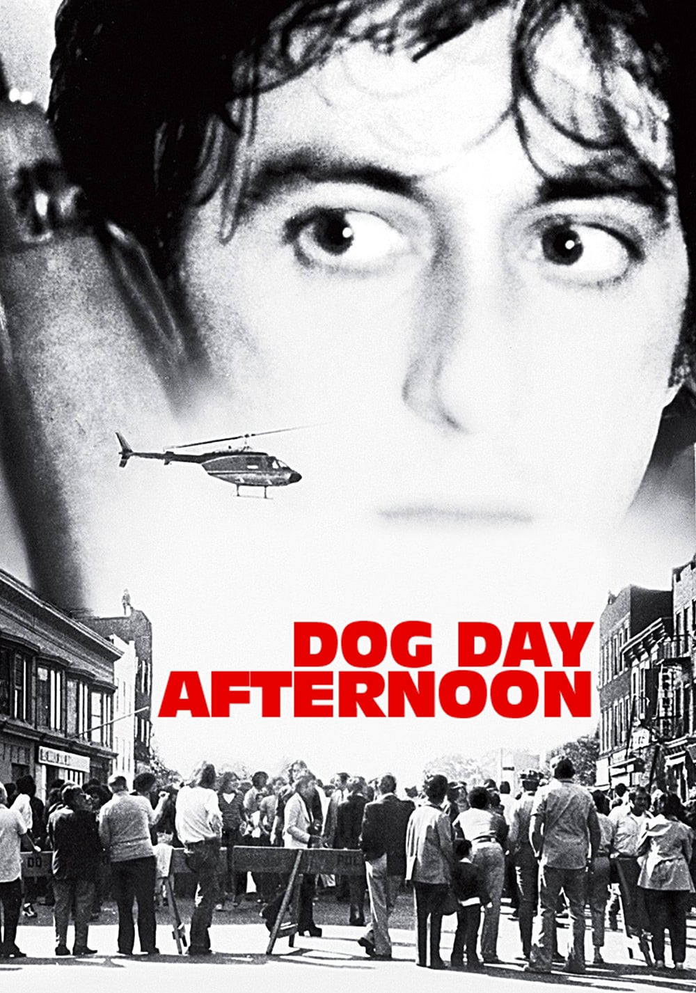 Poster Phim  Buổi Chiều Xui Xẻo (Dog Day Afternoon)