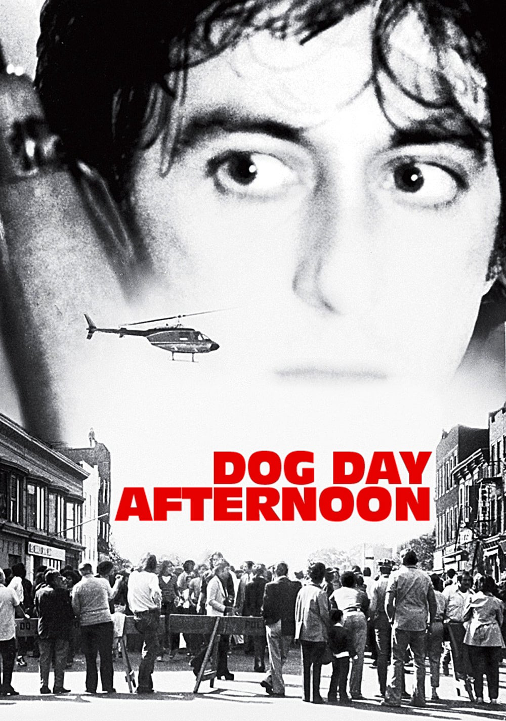 Poster Phim Buổi Chiều Xui Xẻo (Dog Day Afternoon)