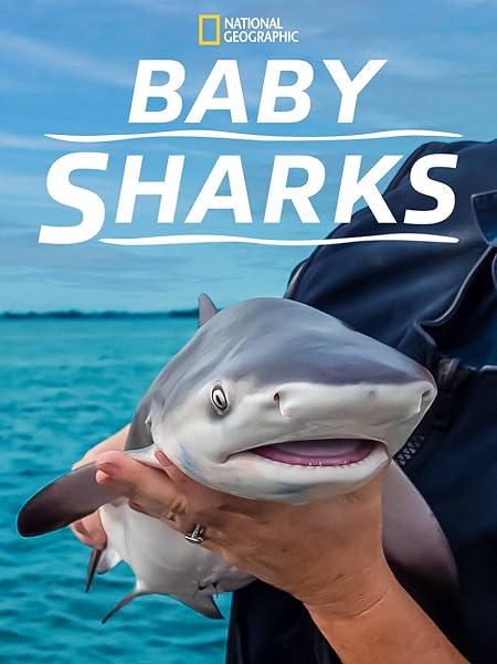 Xem Phim Cá Mập Con (Baby Sharks)