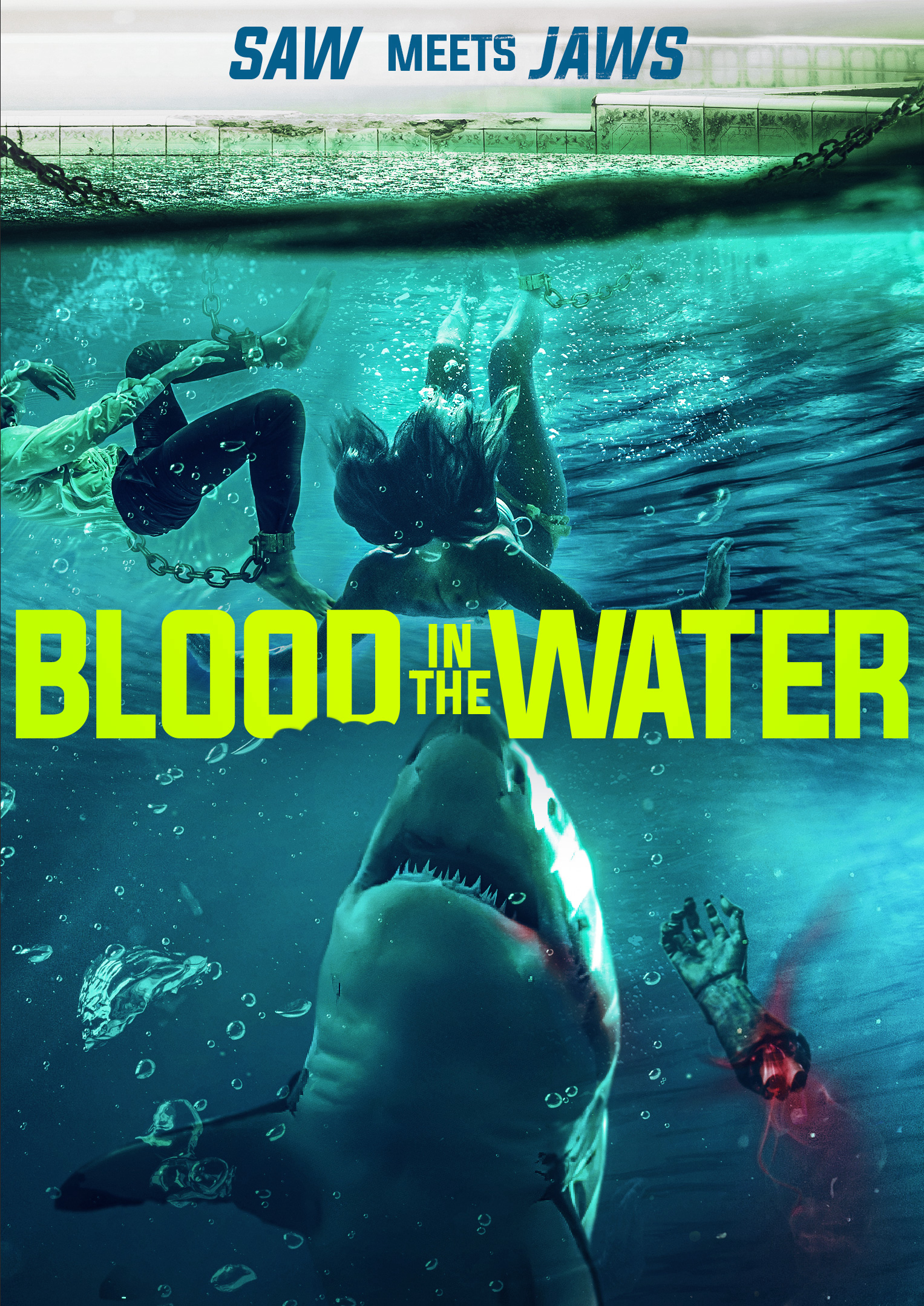 Poster Phim Cá Mập Dưới Nước (Blood in the Water)