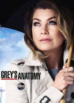 Poster Phim Ca Phẫu Thuật Của Grey Phần 13 (Grey's Anatomy Season 13)