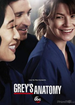 Poster Phim Ca Phẫu Thuật Của Grey Phần 15 (Grey's Anatomy Season 15)