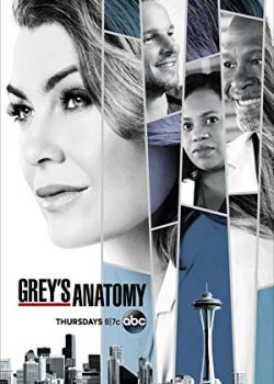 Poster Phim Ca Phẫu Thuật Của Grey Phần 16 - Grey’s Anatomy Season 16 (Grey's Anatomy)