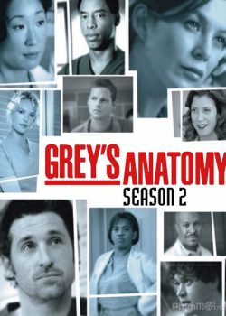 Poster Phim Ca Phẫu Thuật Của Grey Phần 2 (Grey's Anatomy Season 2)