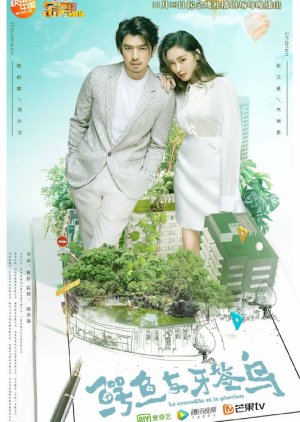 Poster Phim Cá Sấu Và Chim Choi Choi (Crocodile and Plover Bird)