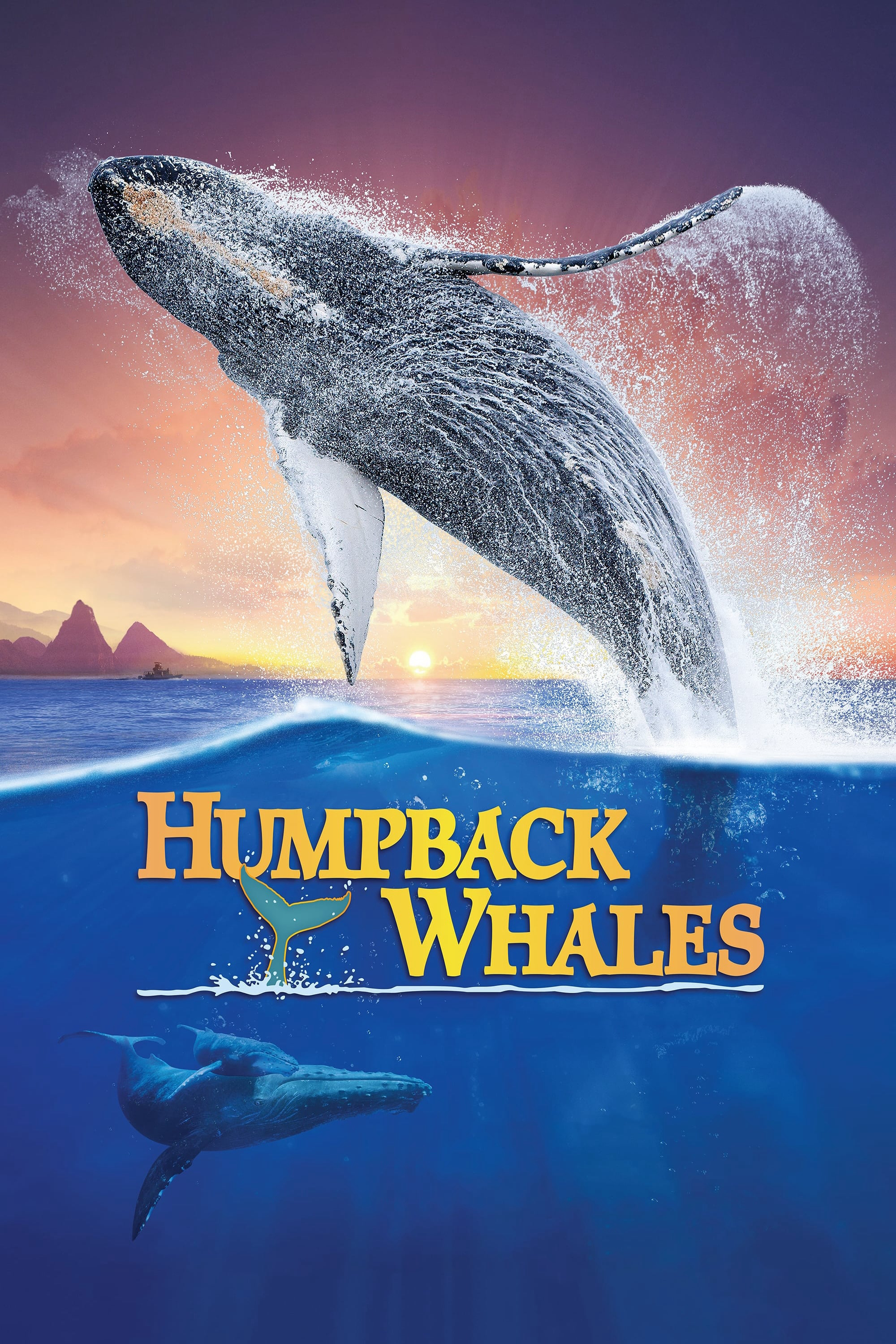 Poster Phim  Cá Voi Lưng Gù (Humpback Whales)