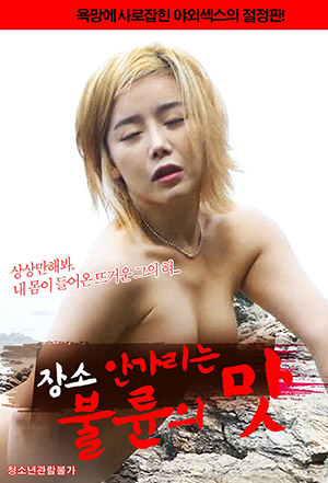 Poster Phim Cảm Giác Khi Ngoại Tình (시아버지의 맛에빠진 며느리)