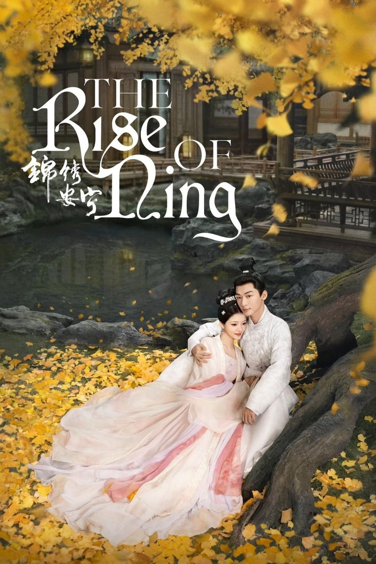 Poster Phim Cẩm Tú An Ninh (The Rise of Ning)