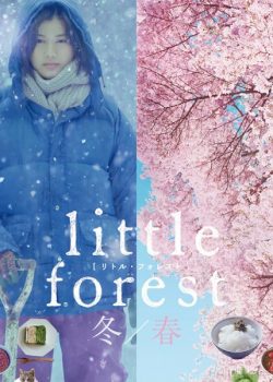 Poster Phim Cánh Đồng Nhỏ: Đông/Xuân (Little Forest 2: Winter/Spring)
